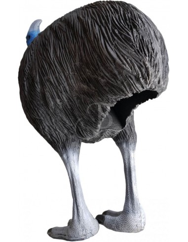 Eleven 3d Silhouette Cassowary -...