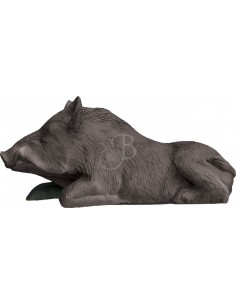 Eleven Sagoma 3d Cinghiale...