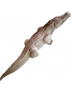 Eleven 3d Crocodile...