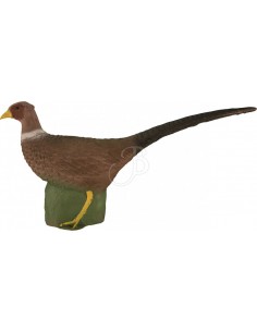 Eleven 3d Pheasant...