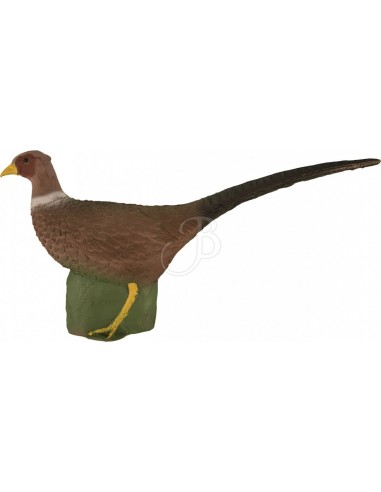 Eleven 3d Pheasant Silhouette -...