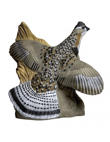 3d 410 Gallo Cedrone - RINEHART