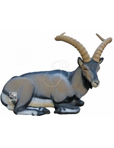 Sagoma 3d Stambecco Iberico Sdraiato...