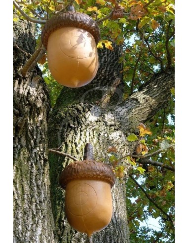 3di Silhouette 3d Acorn - 3DI