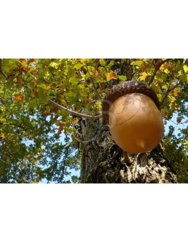 3di Silhouette 3d Acorn - 3DI