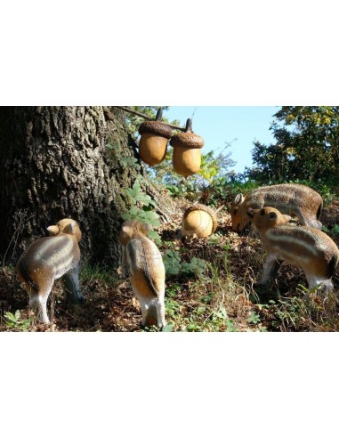 3di Silhouette 3d Acorn - 3DI