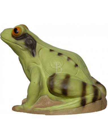 3di Sagoma 3d Rana Verde - 3DI