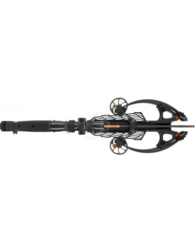 Balestra R5x - RAVIN
