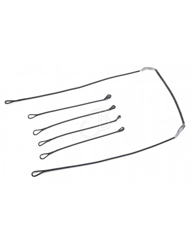 Set Corda E Cavi Cp400 - CENTER POINT