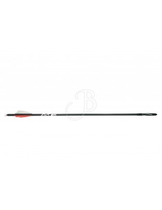 Dardo Balestra 405 - AXE