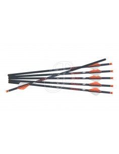 Dardo Balestra R18 .003 6pz...