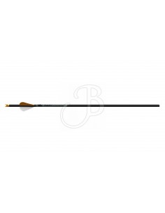 Dardo Balestra R500 .003...