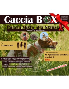 TOSCANA SIENA - CACCIA...