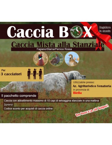 copy of PIEMONTE - CACCIA MISTA ALLA...