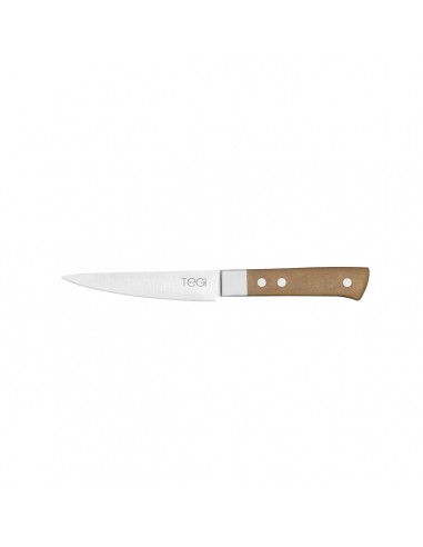 Coltello Bistecca Tegi cm.12 Manico...