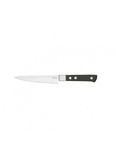 Cuchillo Filete Tegi 12cm Mango Negro...