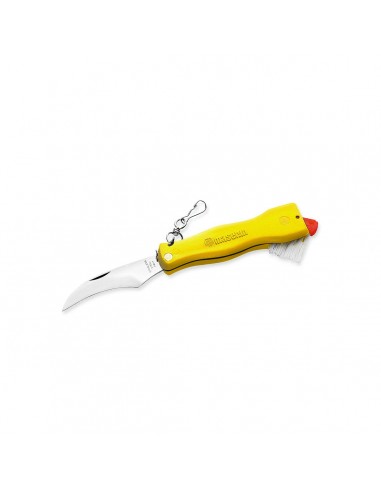 Coltello Funghi, Manico Colorato...