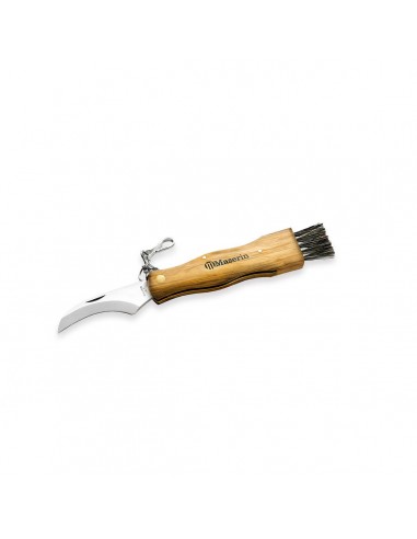 Cuchillo para setas, mango de olivo -...