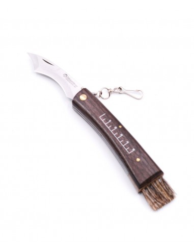Coltello Funghi, Manico Noce - MASERIN