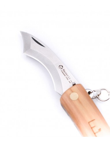 Cuchillo para setas, mango de olivo -...