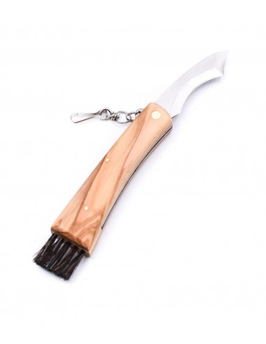Cuchillo para setas, mango de olivo -...