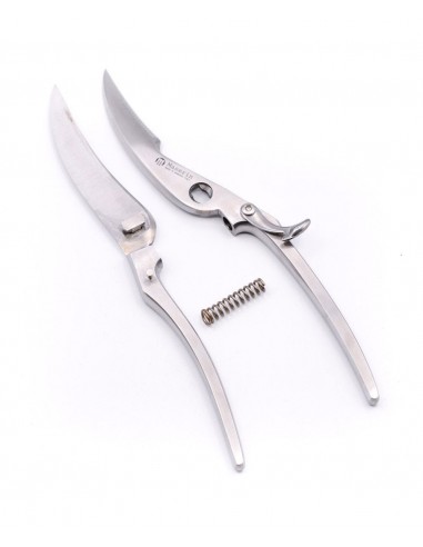 Stainless steel poultry shears cm.25...