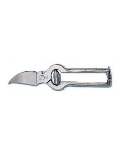 Nickel poultry shears cm.23...