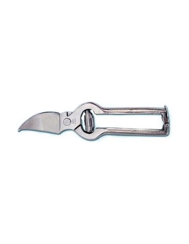 Nickel poultry shears cm.23 - MASERIN