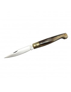 The Pattadesa, Horn Handle,...