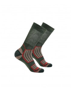 Chaussettes modèle Alpo 1...