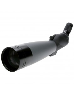 Monocular Danubia Rain... 2
