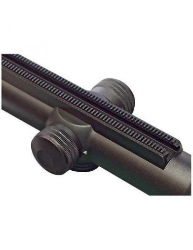 Lunette de visée Z6i 2,5-15x56 P SR...