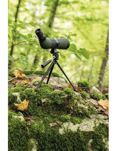 Lunette D'observation Kauz 12-36x60...