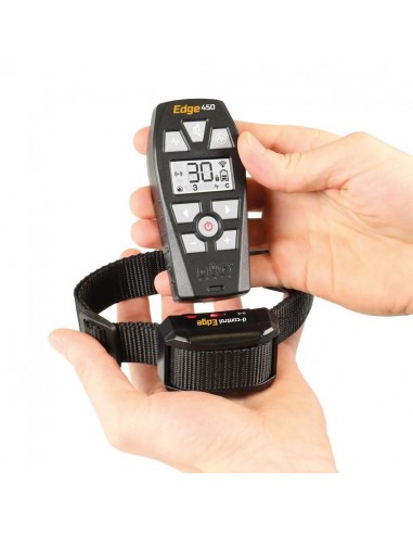D-Control EDGE 650 ONE - DOG TRACE