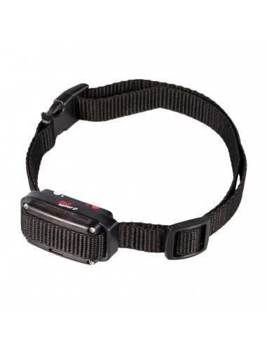 D-Control EDGE 650 ONE - DOG TRACE