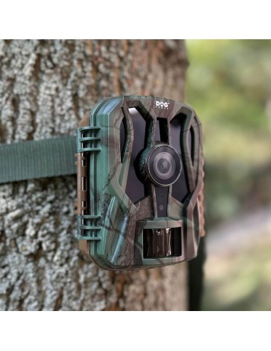 PIÈGE CAMÉRA D-GUARD MIMI 10 LED IR -...