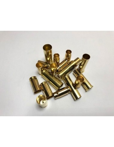 Cases Caliber 10AUTO - Pack of 100...