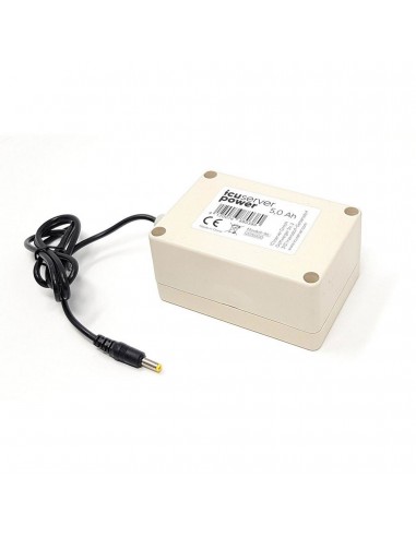 Batteria esterna Litio 5000mAh...