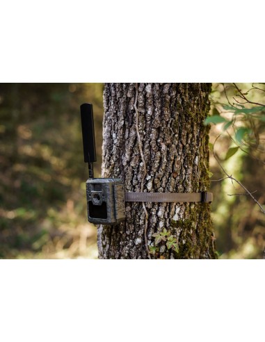 Antena Especial para Icucam - ICUSERVER