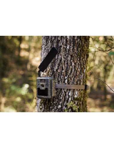Antenna Speciale per Icucam - ICUSERVER