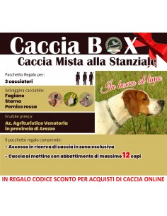 TOSCANA AREZZO - CACCIA...