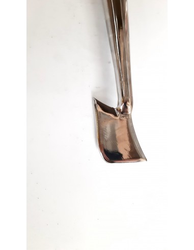 Professional truffle spade with...