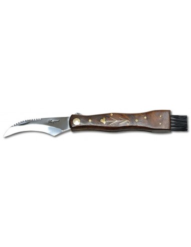 Coltello chiudibile per funghi - CBC